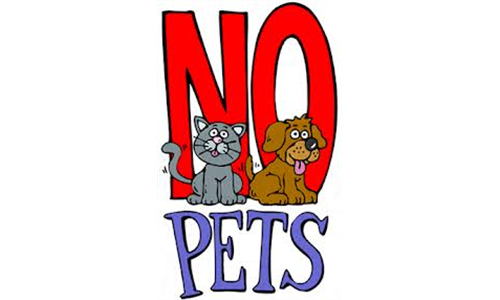 NO PETS 